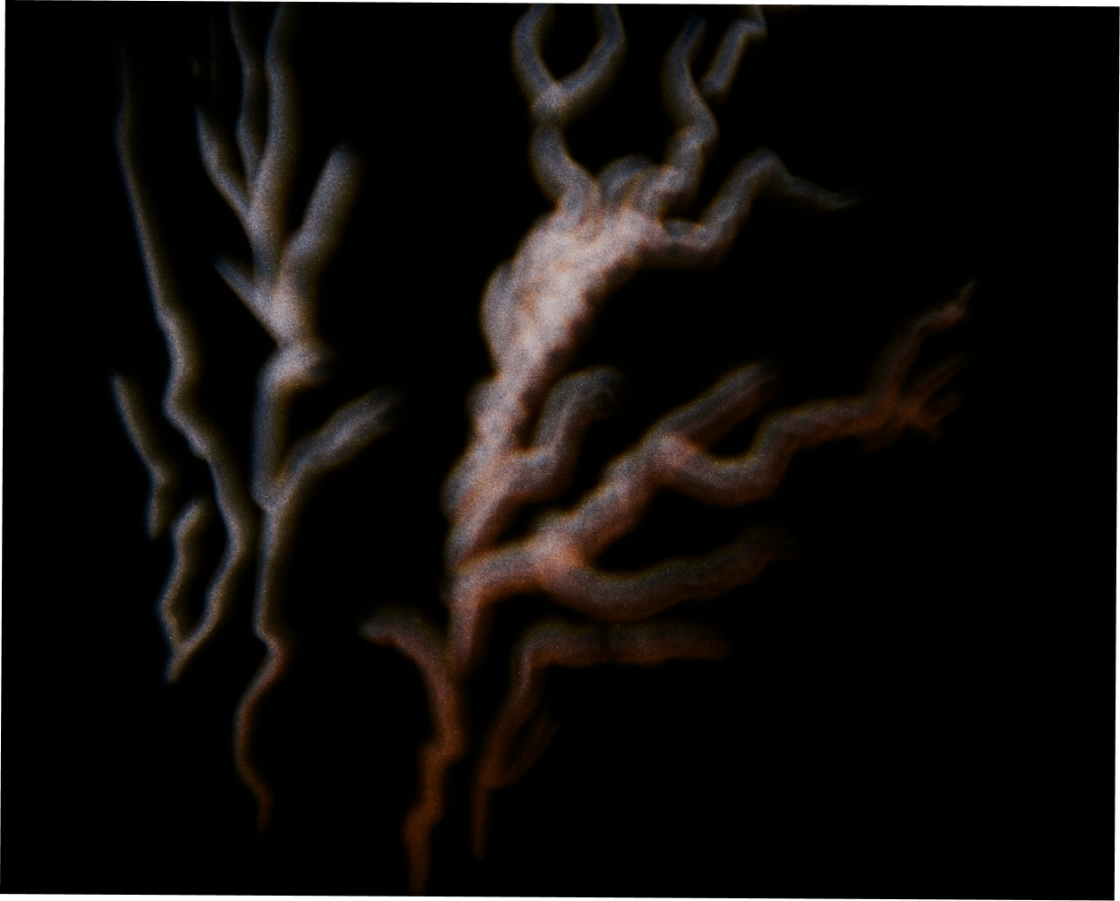 Neuroplasticity and brain health