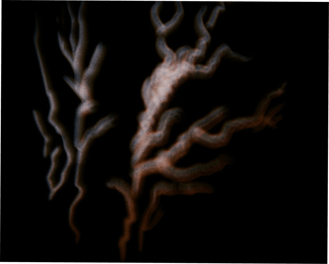 Neuroplasticity and brain health