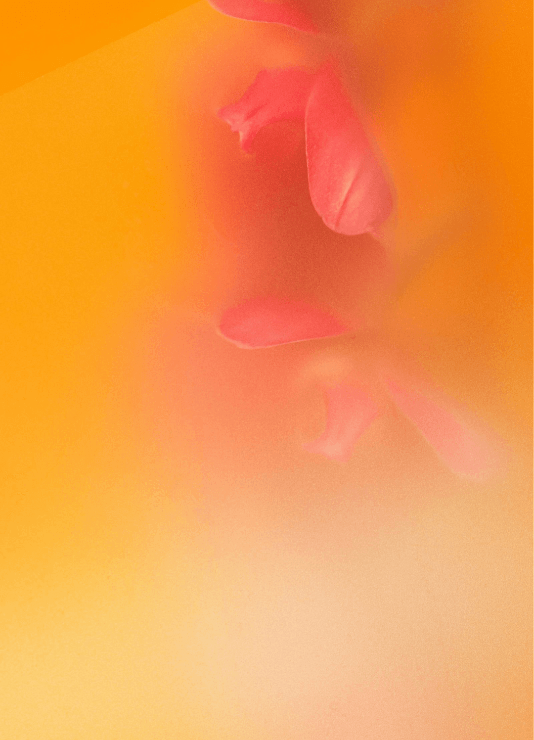 Abstract orange