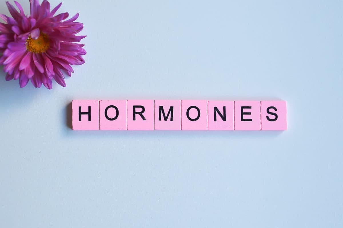 What Are Hormones?