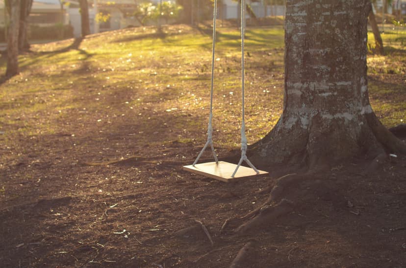 swings