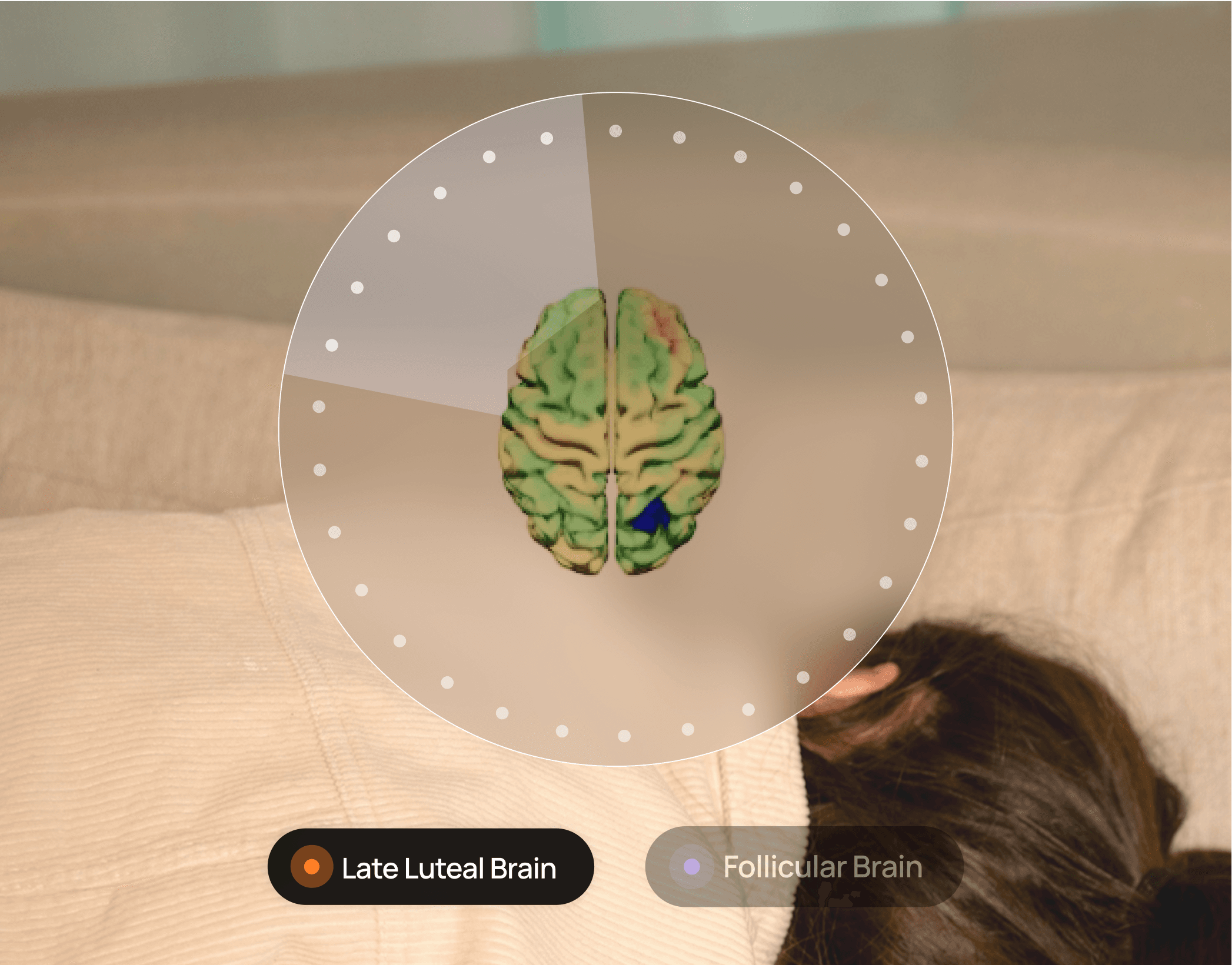 Neuroplasticity as a tool for optimizing menstrual health