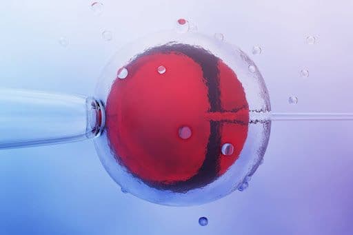 Ovulation Signs and Symptoms